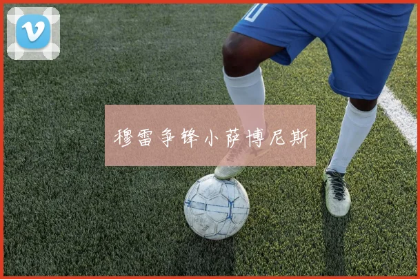 穆雷争锋小萨博尼斯