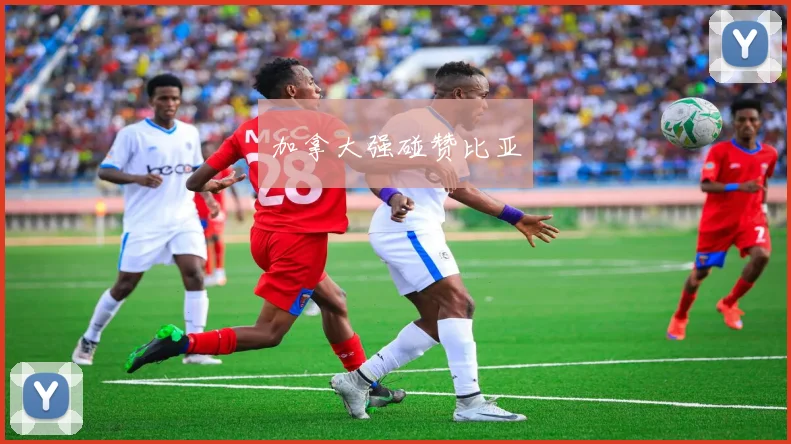 加拿大强碰赞比亚