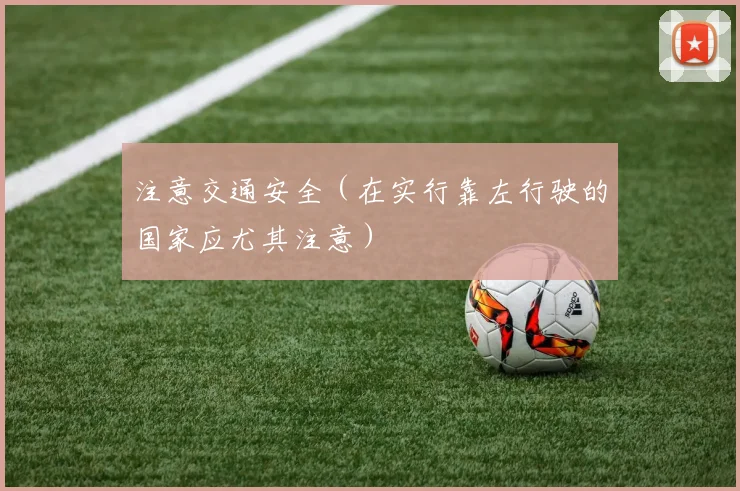 注意交通安全(在实行靠左行驶的国家应尤其注意)