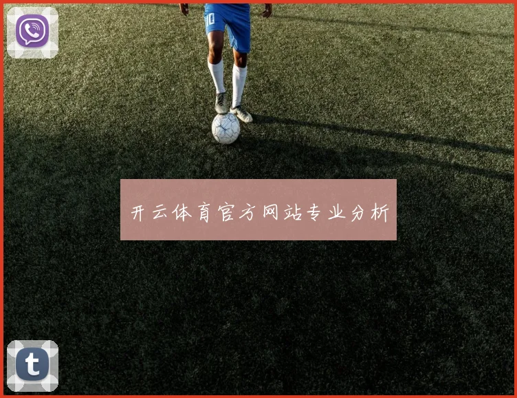 开云体育官方网站专业分析