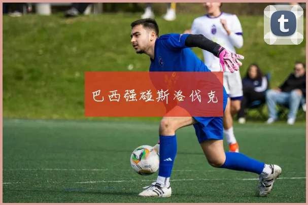 巴西强碰斯洛伐克