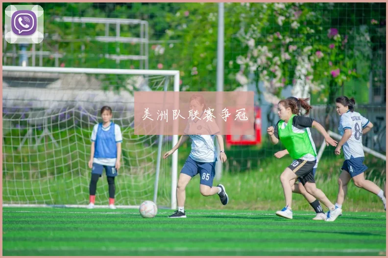 美洲队联赛争冠