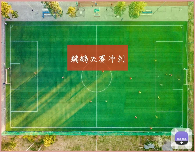 鹈鹕决赛冲刺