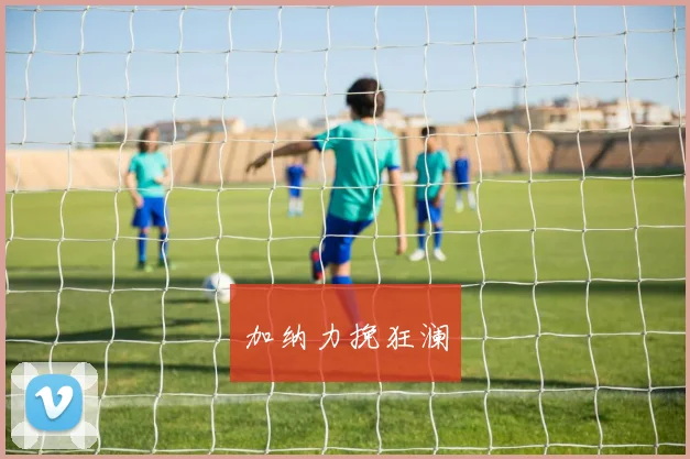 加纳力挽狂澜