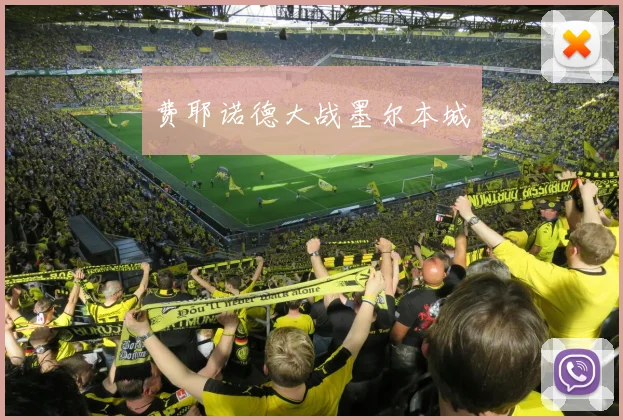 费耶诺德大战墨尔本城