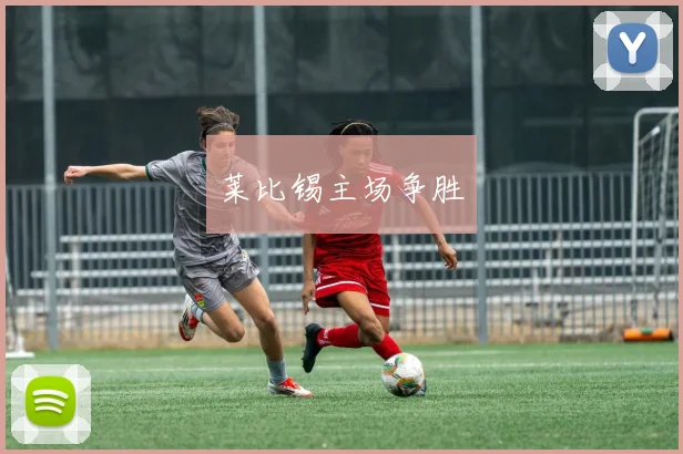 莱比锡主场争胜
