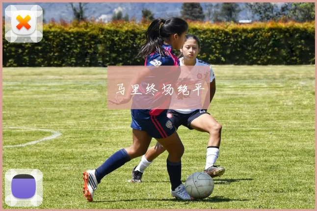 马里终场绝平