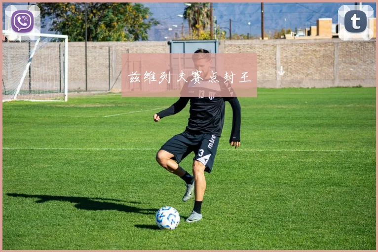 兹维列夫赛点封王