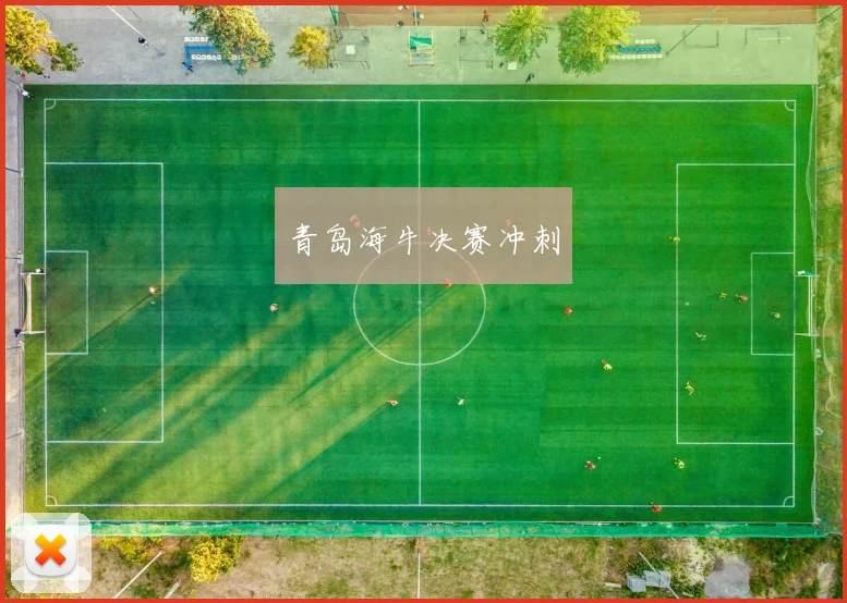 青岛海牛决赛冲刺