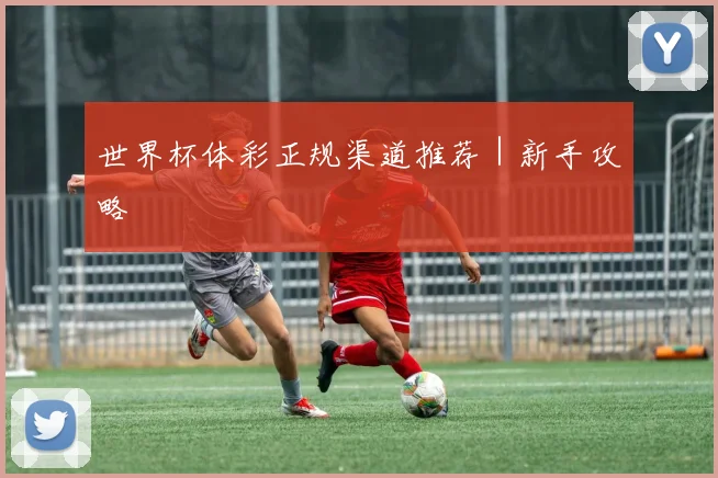 世界杯体彩正规渠道推荐｜新手攻略