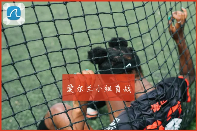 爱尔兰小组首战