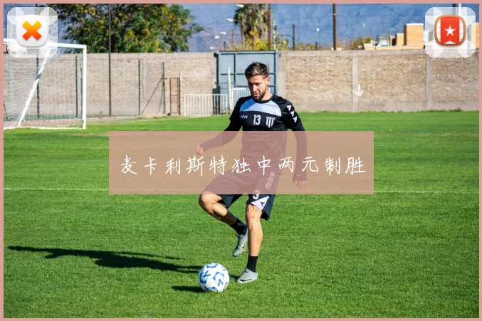 麦卡利斯特独中两元制胜
