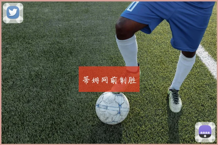 蒂姆网前制胜