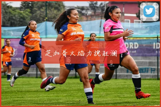 芝加哥火焰力挽狂澜