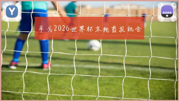 辛戈2026世界杯末轮首发机会
